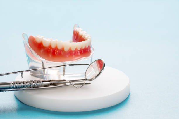 Professional  Holistic Dental Services in Gallatin, MO